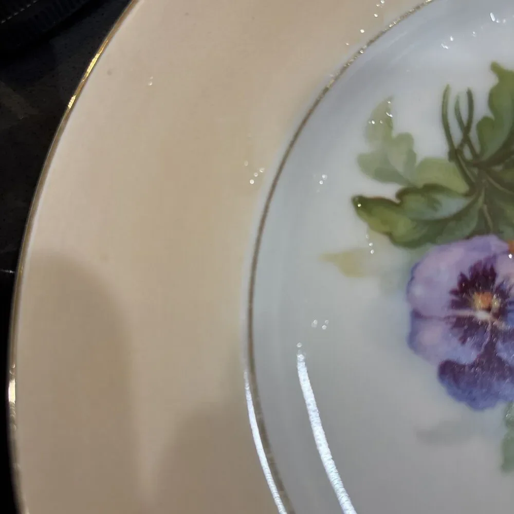 Vintage Austria HUB Hand Painted Violets Dinner PLATE - 8 5/8” Dia Peach White